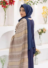 Winter Collection - Riaz Arts - DastKari23 - D#02