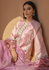 Lawn Collection - Rang Rasiya - Premium - RSP24#12 - Ayleen