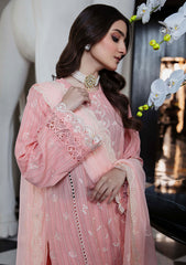 Lawn Collection - Humdum - Vouge - HVL24#04