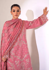 Winter Collection - Marjjan - Afsanah - D#02-B