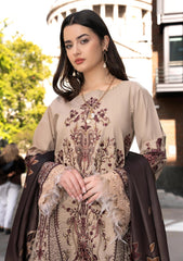 Winter - Al Zohaib - Wintry Breeze - WB-26#05