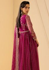 Formals - Zarif - Riwayat Chiffon 26 - ZRF-RC#05 - SADAА