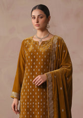 Winter - Riwaj - Velvet Stone Work 3 Pcs Suit - D#05 - Brown