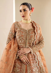 Formals - Meeral - Celestia Wedding 26 - D#1184 - SERENA