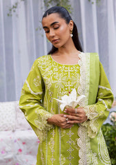 Winter - Mahnur - Gardenia - Khaddar 25 - GR#03