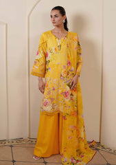 Lawn - Johra - Zunaira 26 - JH#1164