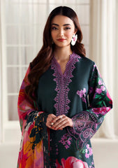 Winter - Naqsh - Zyrah 25 - D#182 - ZINC