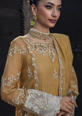 Formals - Rang Rasiya - Wedding Formals 25 - RR#01 - Misha