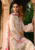 Winter Collection - Bin Ilyas - Gulabi Baagh - BI24GB 155-B