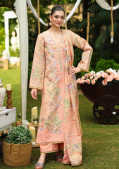 Winter - Rang Rasiya - Luxe Silk 25 - RRLS#05 - Soha