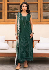 Lawn - Humdum - Mehrmaa 26 - D#02 - Arzoo