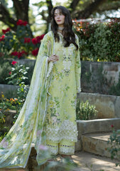 Lawn - Elaf Premium - Signature Embroidered Prints 26 - ESA#07A - IVORY SEASON