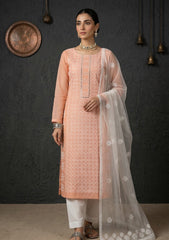 Formals - Riwaj - Fancy 26 -  Thread Work - 2 Pcs - D#01 - Peach