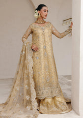 Formals - Aik Atelier - Wedding Festive 25 - Vol-II - Look#06