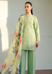 Lawn - Coco By Zara Shahjahan - Unstitched 25 -TINA-3B