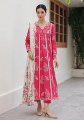 Winter - Xenia - Winter Slub - Unstitched 25 - XF#1140 - DAIVI