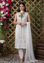 Formals - Bahawalpur Pehnawa - Georgette Chiffon - 2 piece - JC#11