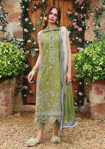 Lawn - Mushq - Hemline Secret Garden 26 - Beyond The Trail Of Petals - MB#404 - Whispering Ivy