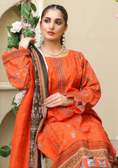 Winter Collection - Bin Rashid - Aina - BA24#05