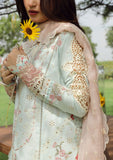 Lawn Collection - Qalamkar - Festive Lawn 24 - PS#01 - ALIZAY