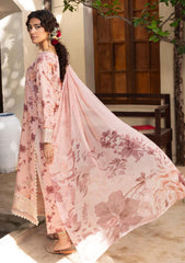 Winter - Humdum - Zaiba - Karandi 25 - D#05