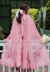 Formals - Nureh - Ballerina 25 - NU2#182