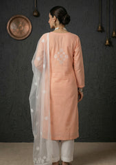 Formals - Riwaj - Fancy 26 -  Thread Work - 2 Pcs - D#01 - Peach