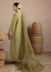 Winter - Humdum - Mushak - Embroidered Karandi 26 - D#06