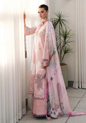 Lawn - Qalamkar - Chikankari - Eid Edit 26 - CM#06 - NOURA