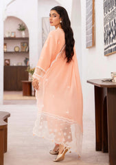 Lawn - Humdum - Nayab 26 - D#10