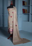 Winter Collection - Riwaj - Pashmina Ari Work Suit - Volume II - D#04