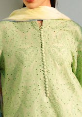 Lawn - Coco By Zara Shahjahan - Unstitched 25 -TINA-3B