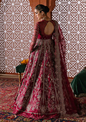 Formals - Akbar Aslam - Sultaniya - Luxury 25 - D#1593 - Jahanara