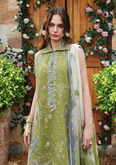 Lawn - Mushq - Hemline Secret Garden 26 - Beyond The Trail Of Petals - MB#404 - Whispering Ivy