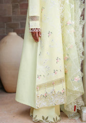 Lawn - Cross Stitch - Eid Edit-II - LWN#0206 - CITRUS LACE