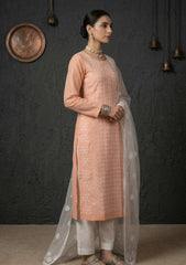 Formals - Riwaj - Fancy 26 -  Thread Work - 2 Pcs - D#01 - Peach