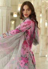 Lawn - Charizma - Aniq Volume 1 - AN25-06