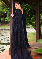 Winter - Riaz Arts - Tehzeeb 25 - Leather Peach - TL#454