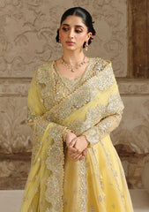 Formals - Qalamkar - Shadmani 25 - Wedding Festive - RH#06 - HOOR