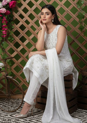 Formals - Bahawalpur Pehnawa - Georgette Chiffon - 2 piece - JC#11