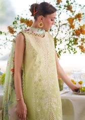 Lawn - Mahnur - Nilofer Luxury 26 - NL#06