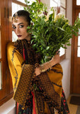 Winter Collection - Hussain Rehar - Karandi A/W 24 - Saage