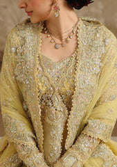 Formals - Qalamkar - Shadmani 25 - Wedding Festive - RH#06 - HOOR