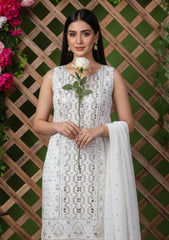 Formals - Bahawalpur Pehnawa - Georgette Chiffon - 2 piece - JC#11