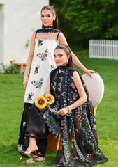 Winter - Asifa & Nabeel - Eden Cambric 25 - ECU#04 - Pearl Whisper