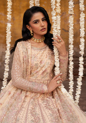 Formal Collection - Zarif - Shehnai - Wedding - ZR25#03 - Heer