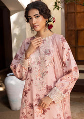 Winter - Humdum - Zaiba - Karandi 25 - D#05