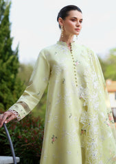 Lawn - Cross Stitch - Eid Edit-II - LWN#0206 - CITRUS LACE