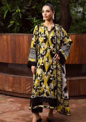 Winter - Nureh - Signature Prints 25 - SP#168