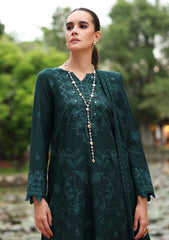 Winter - Riaz Arts - Tehzeeb 25 - Leather Peach - TL#455